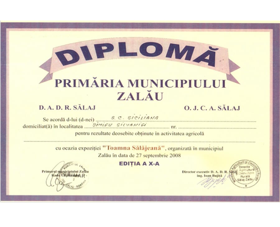 Prima Pagină 13 diploma-cordis-4