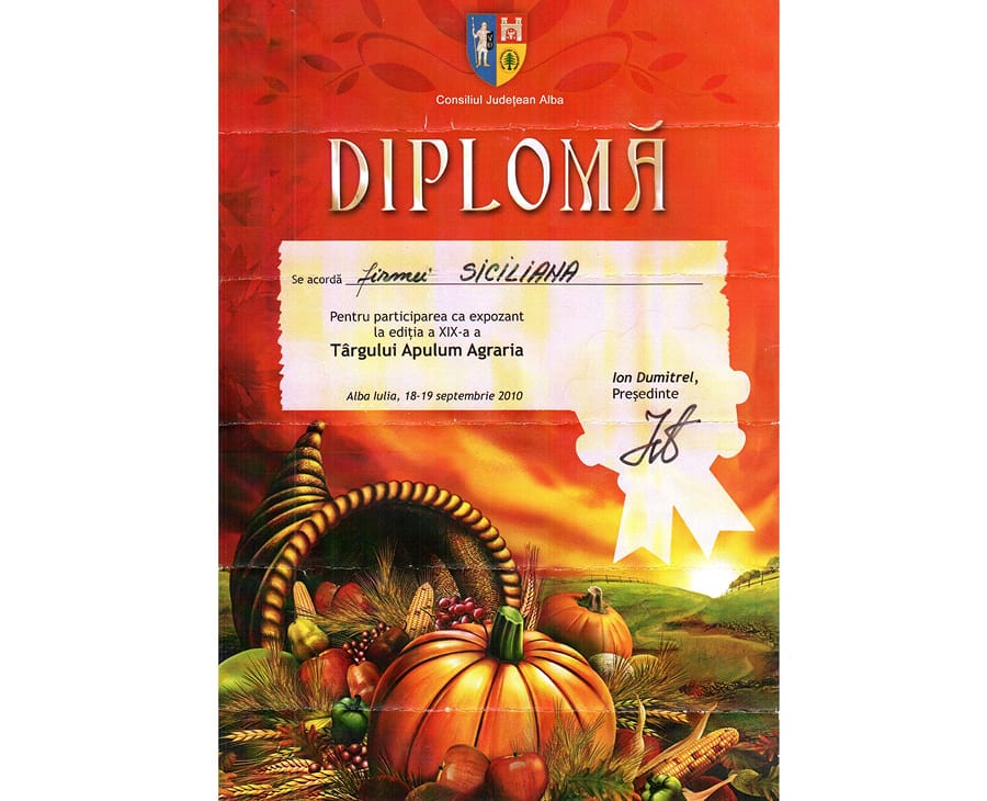 Prima Pagină 9 diploma-cordis-6